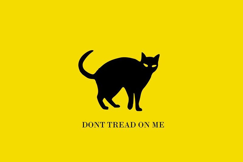 Arquivo:Cat-gadsden.jpg